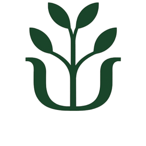 https://www.eklundterapi.se/
